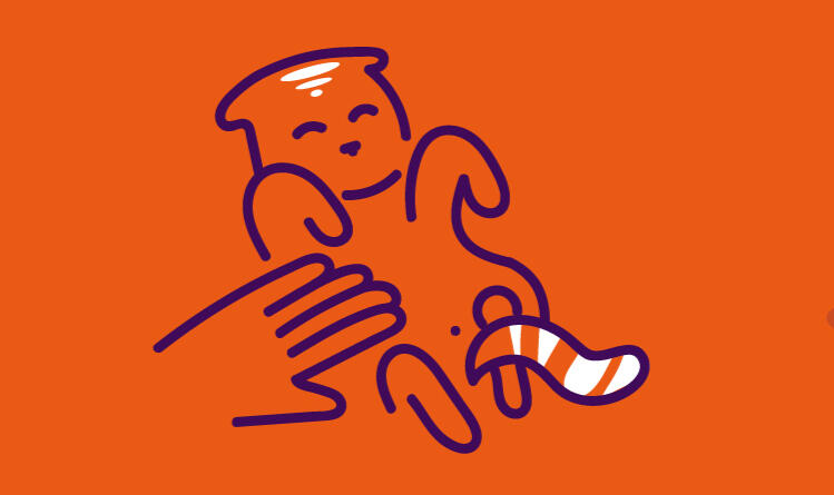 Petit chat est heureux d'être gardé et chouchouté par Boule & Poil entre Saint-Gilles-Croix-de-Vie et Les Sables d'Olonne. Garde de chats à domicile en Vendée – câlins et soins personnalisés avec Boule & Poil