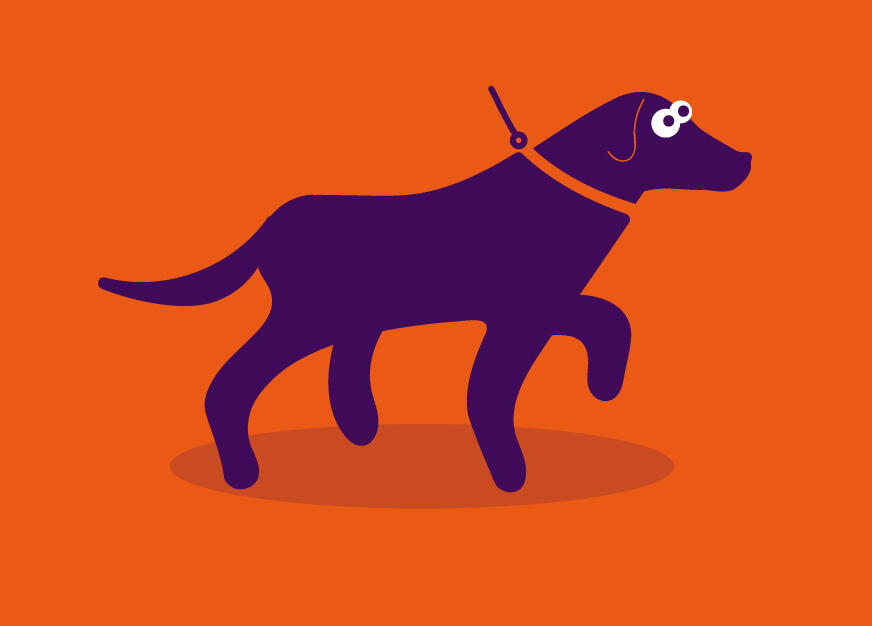 Votre chien sera heureux de nous retrouver grâce à Boule & Poil en Vendée (85) Promenade de chien à Brétignolles-sur-Mer, service Boule & Poil en Vendée